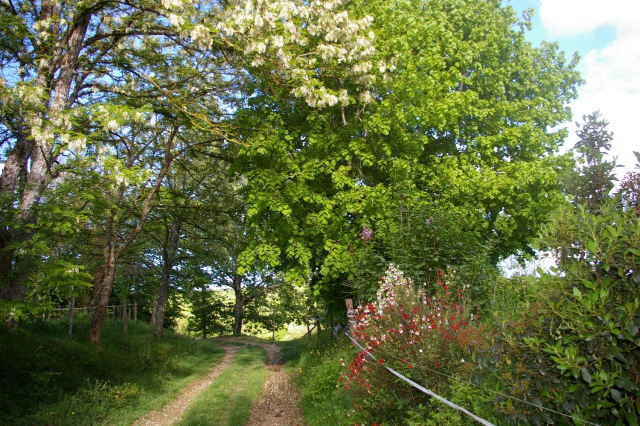 Gite L'Appel De La Foret Betplan Kültér fotó