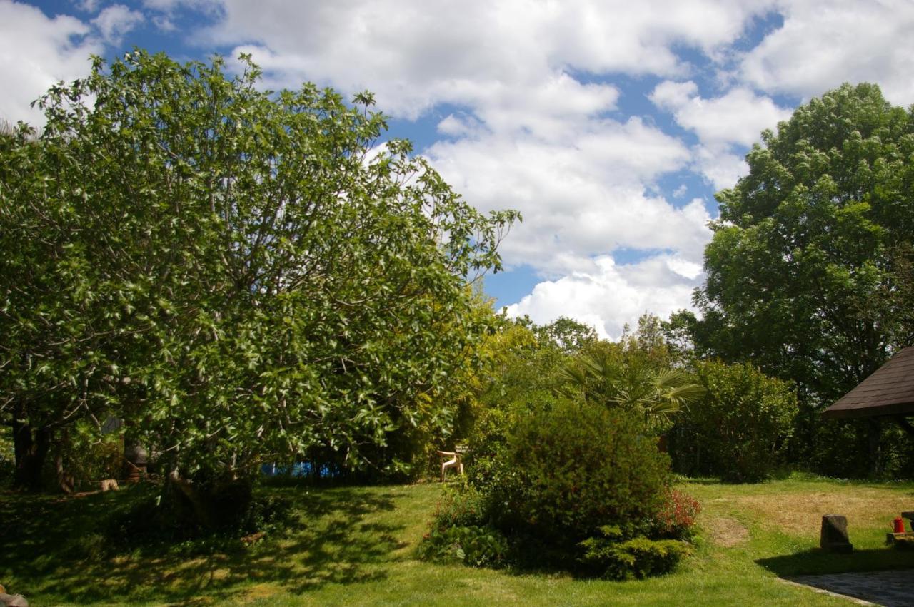 Gite L'Appel De La Foret Betplan Kültér fotó